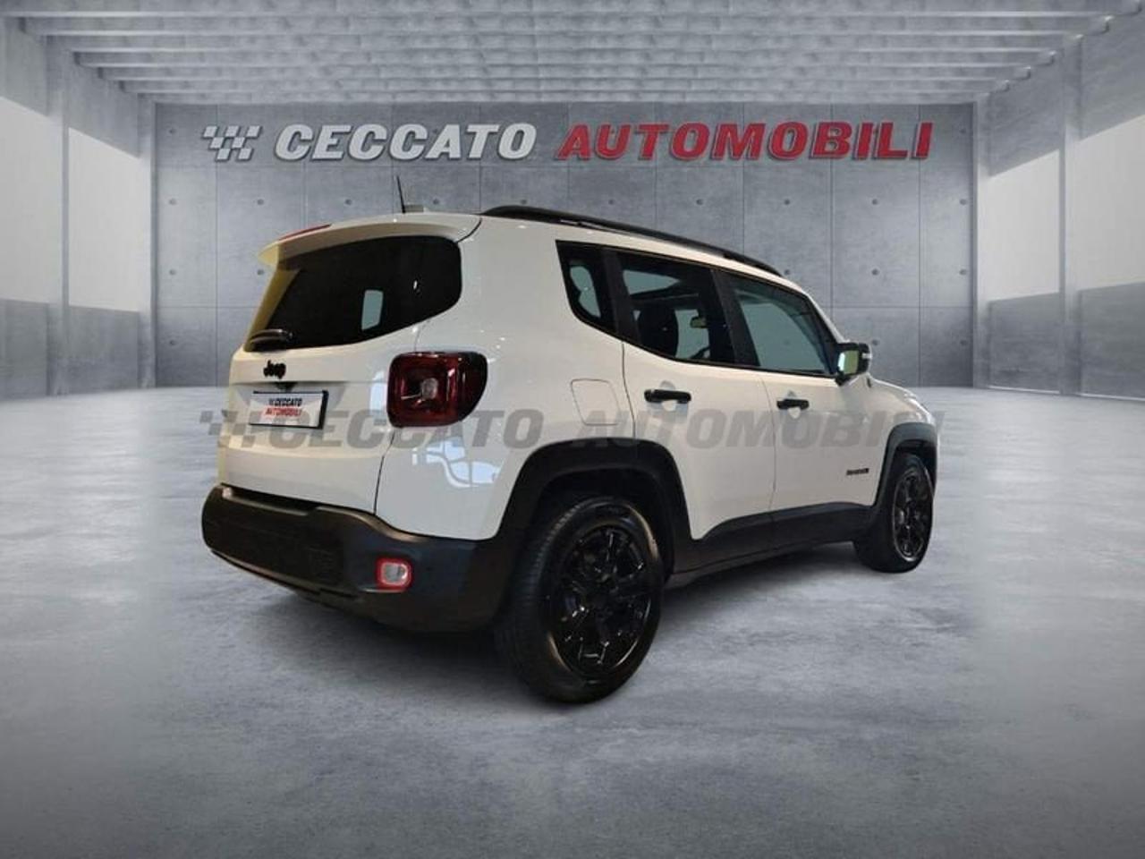 Jeep Jeep Renegade usata, con servo sterzo