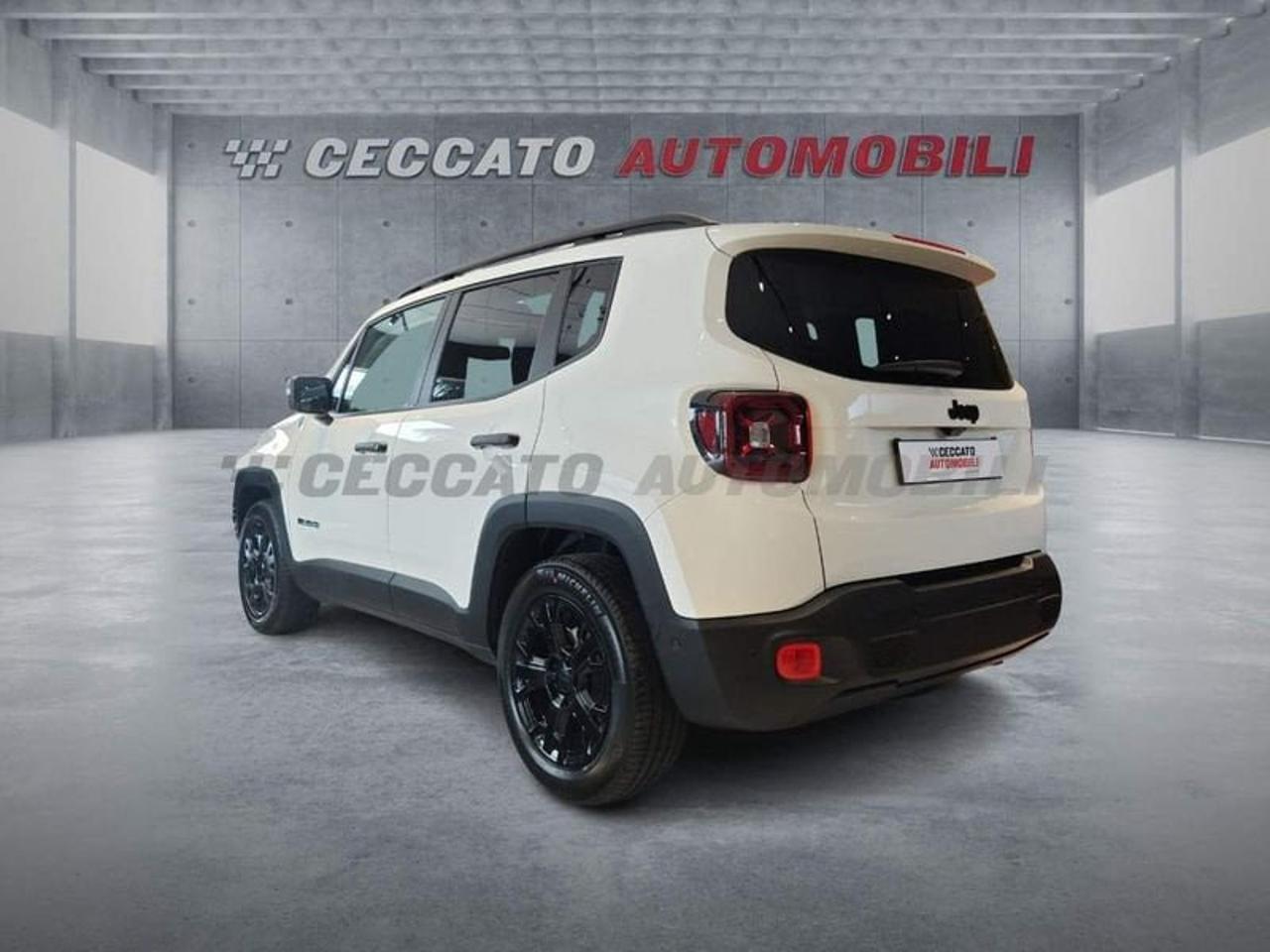 Jeep Jeep Renegade usata 18