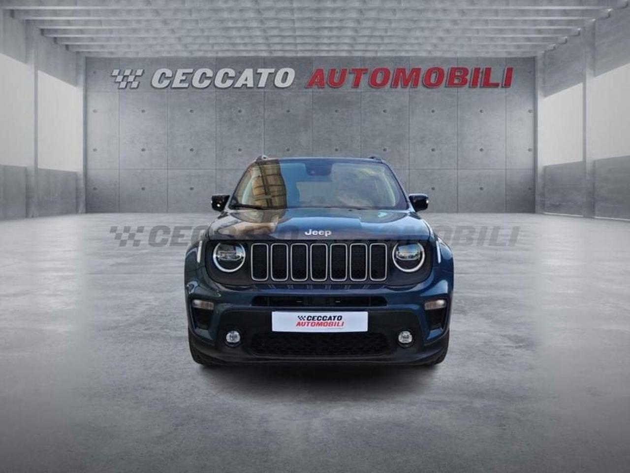 Jeep Jeep Renegade usata 19
