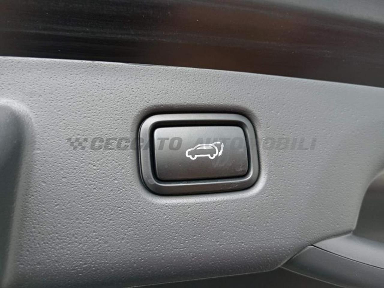 Kia Kia Niro usata 18