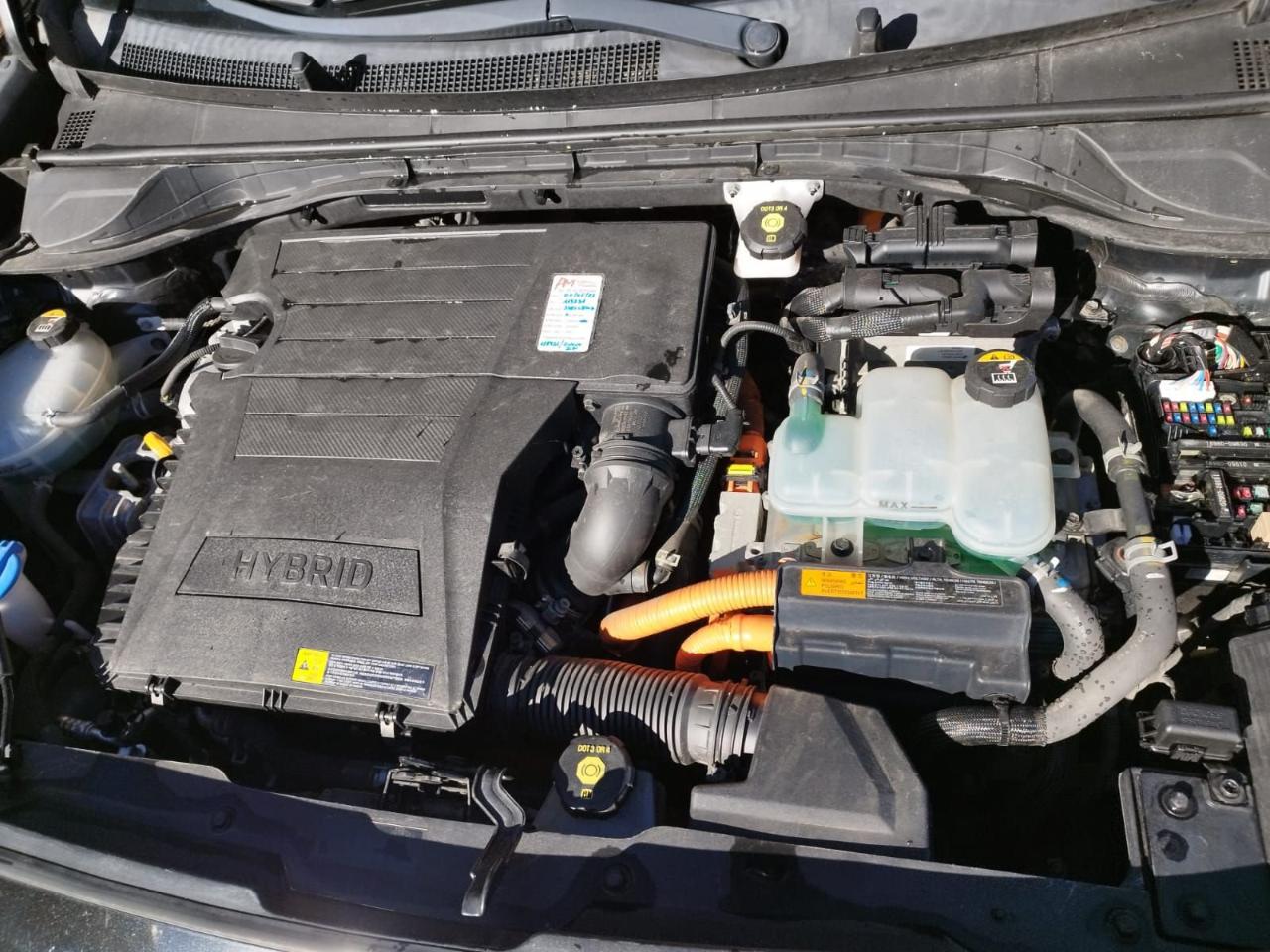 Kia Kia Niro usata 7