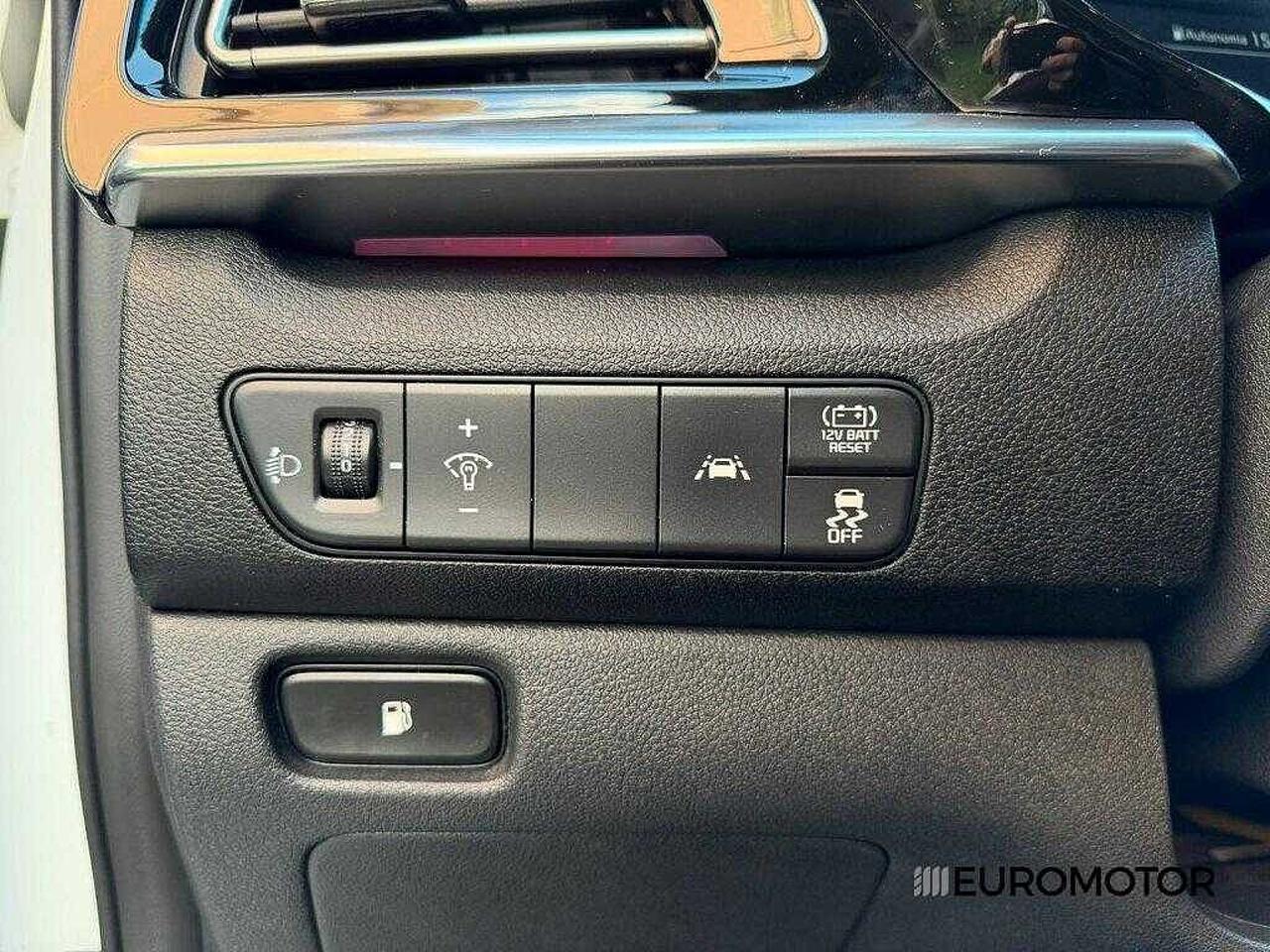 Kia Kia Niro usata 14