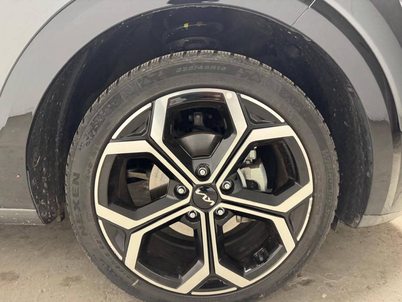 Kia Kia Niro usata 12