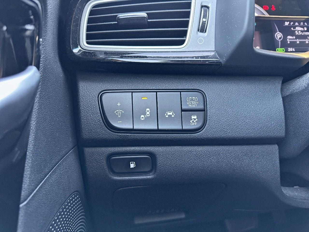 Kia Kia Niro usata 12