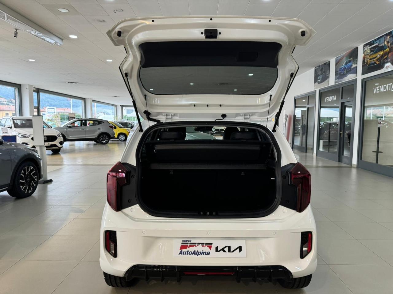 Kia Kia Picanto usata 18