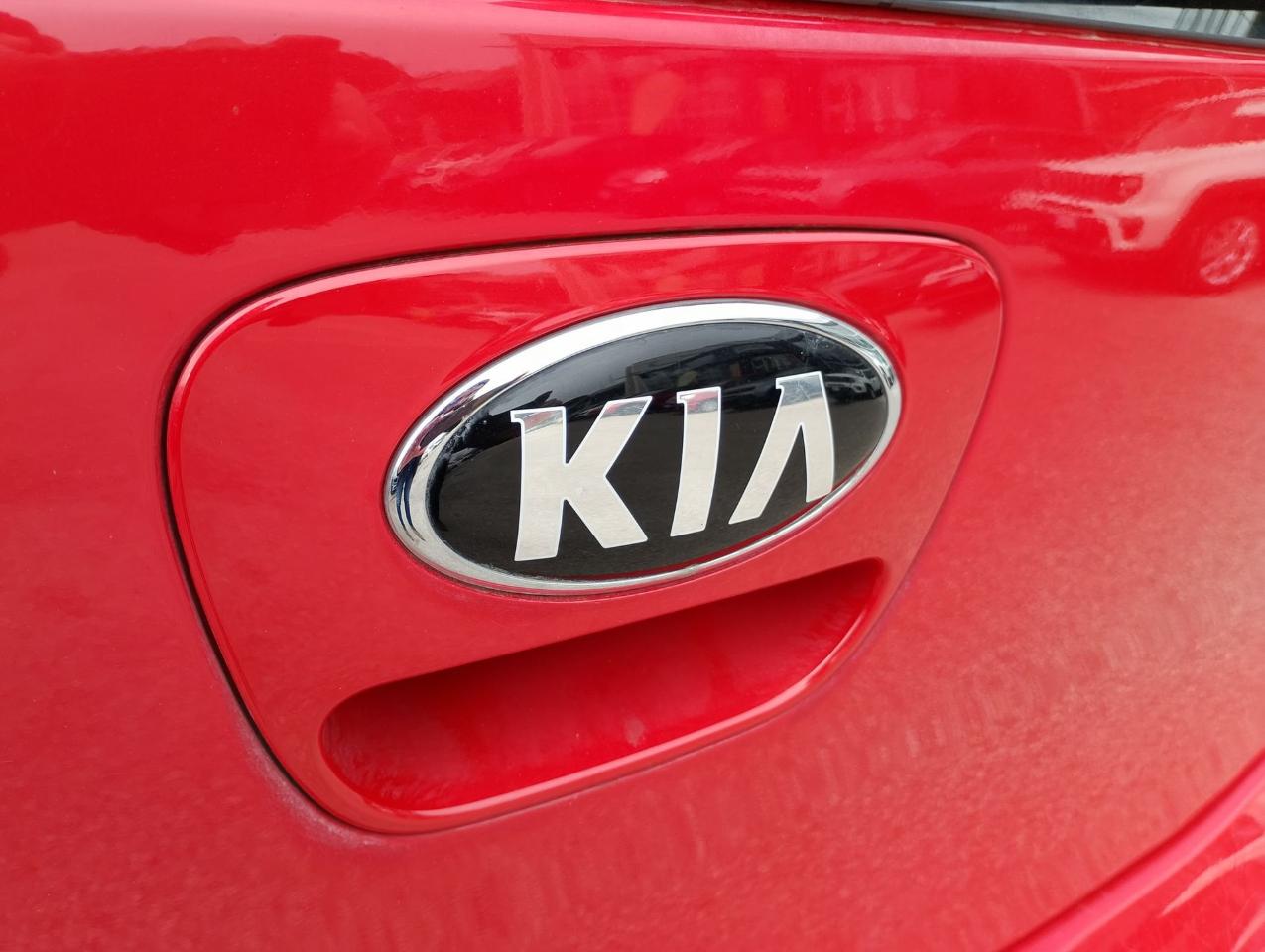 Kia Kia Picanto usata 14