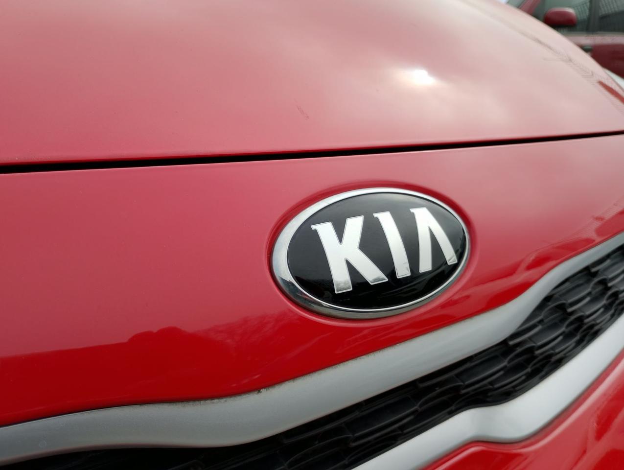 Kia Kia Picanto usata 18