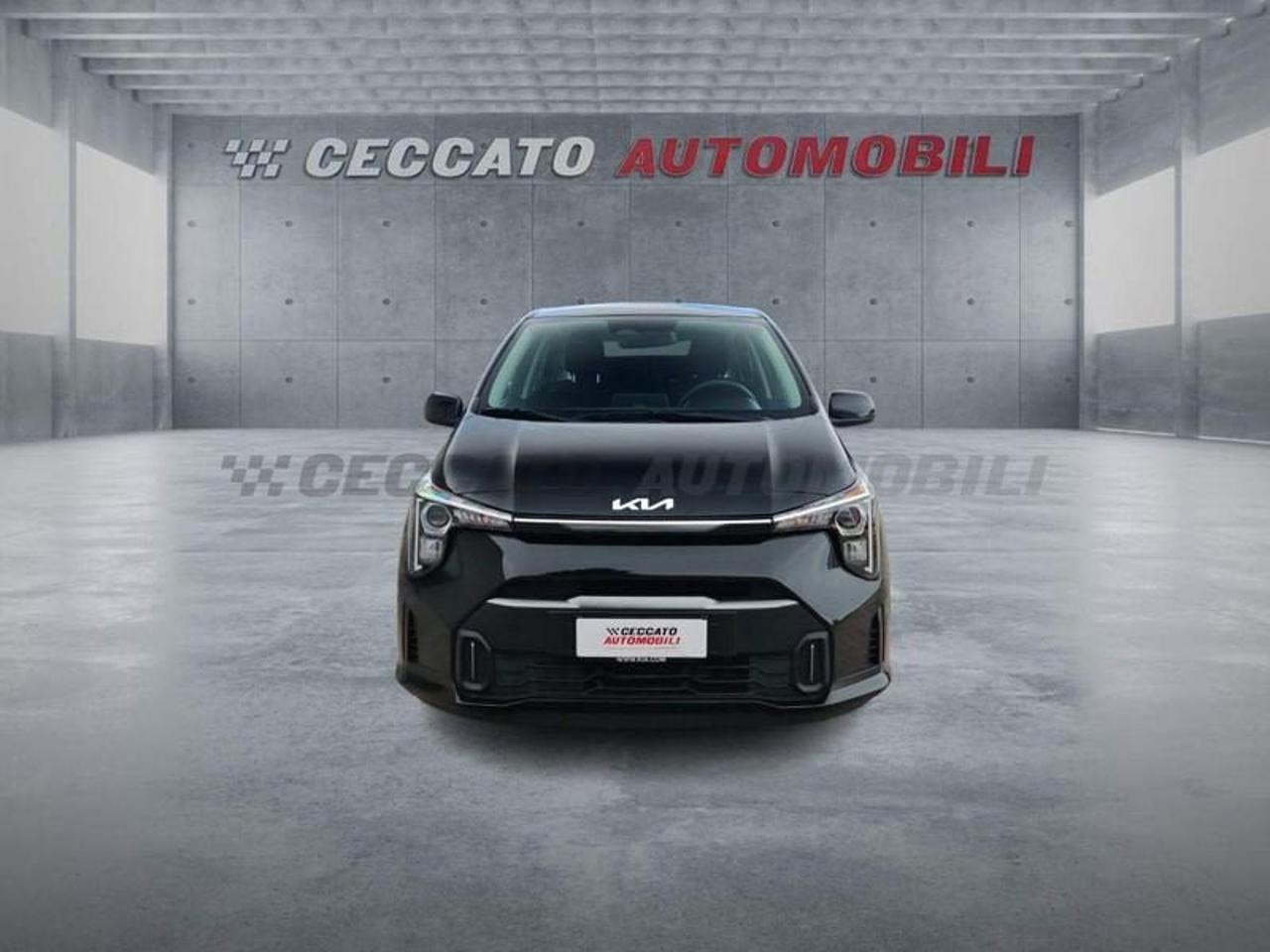 Kia Kia Picanto usata 19