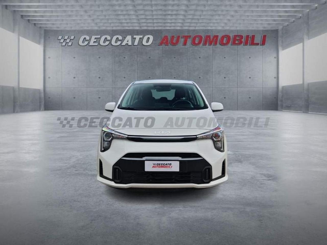 Kia Kia Picanto usata 19