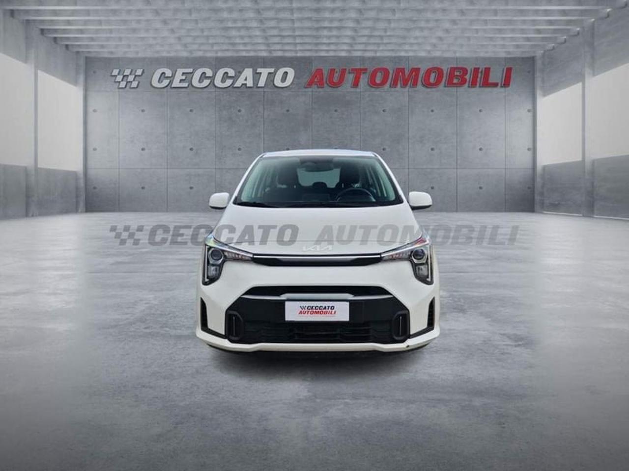 Kia Kia Picanto usata 19