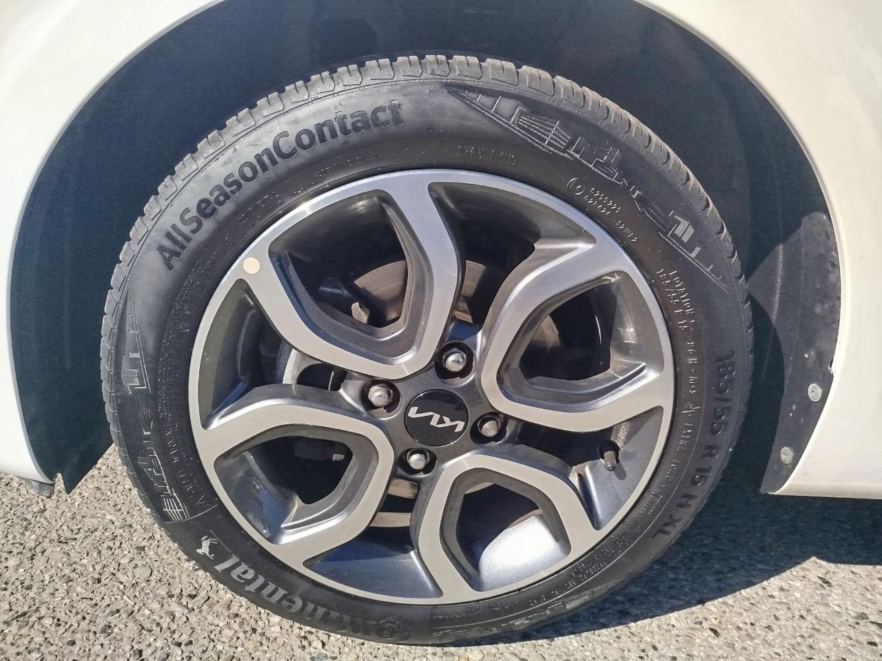 Kia Kia Picanto usata 17