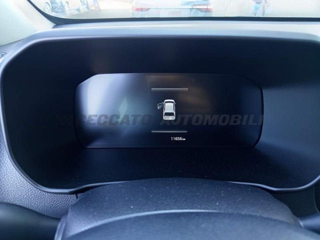 Kia Kia Picanto usata 14