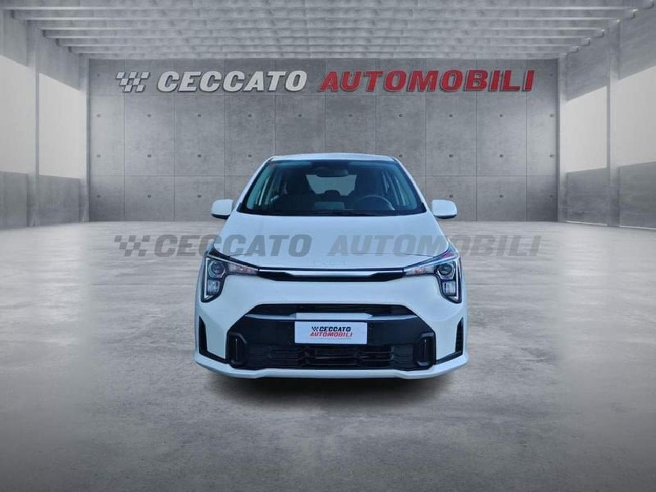 Kia Kia Picanto usata 19