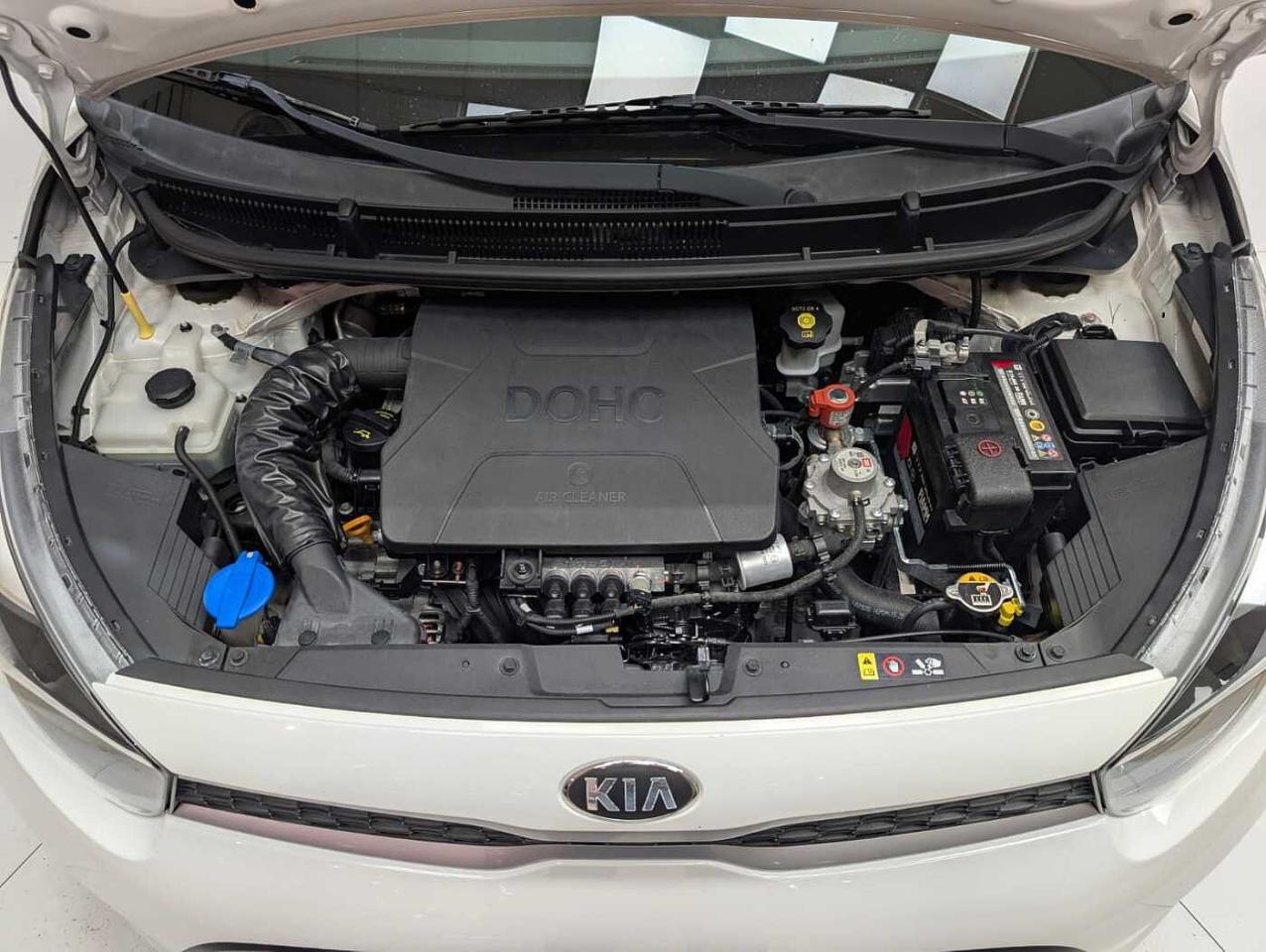 Kia Kia Picanto usata, con Climatizzatore