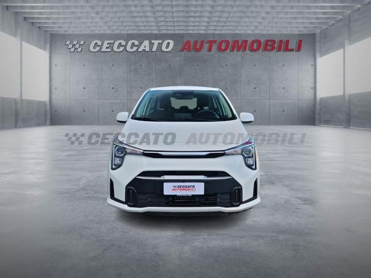 Kia Kia Picanto usata 19