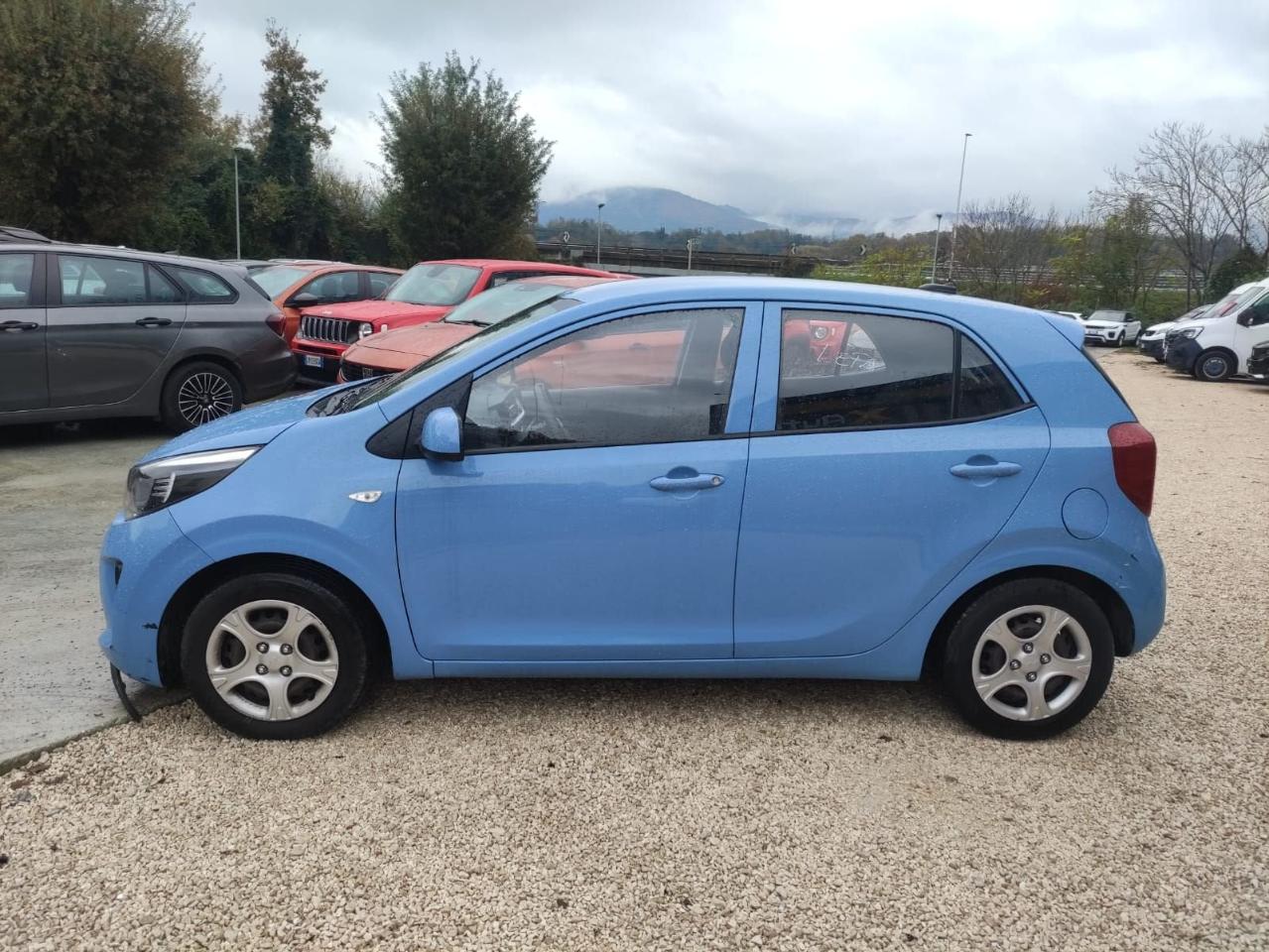 Kia Kia Picanto usata 11