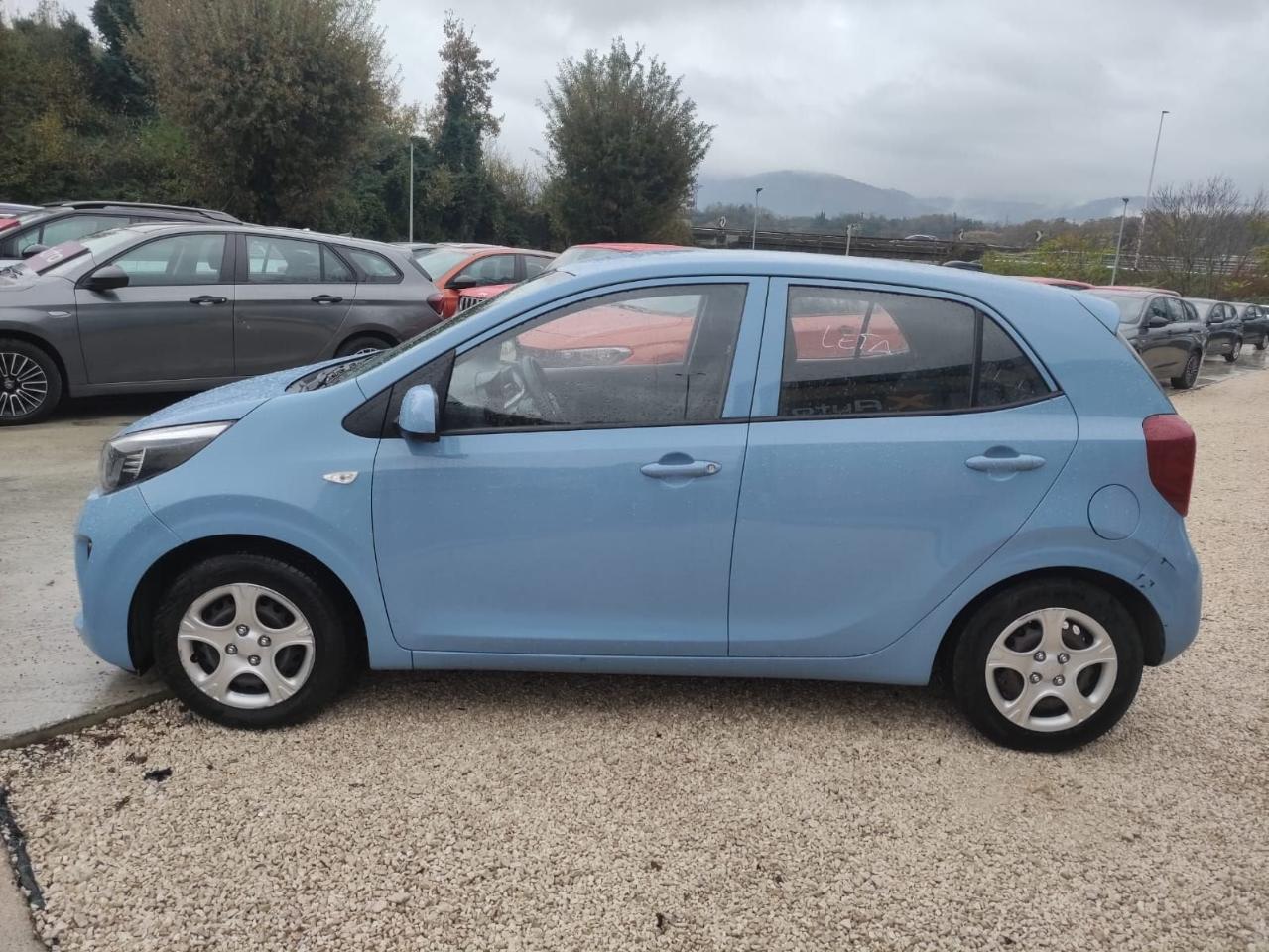 Kia Kia Picanto usata 12