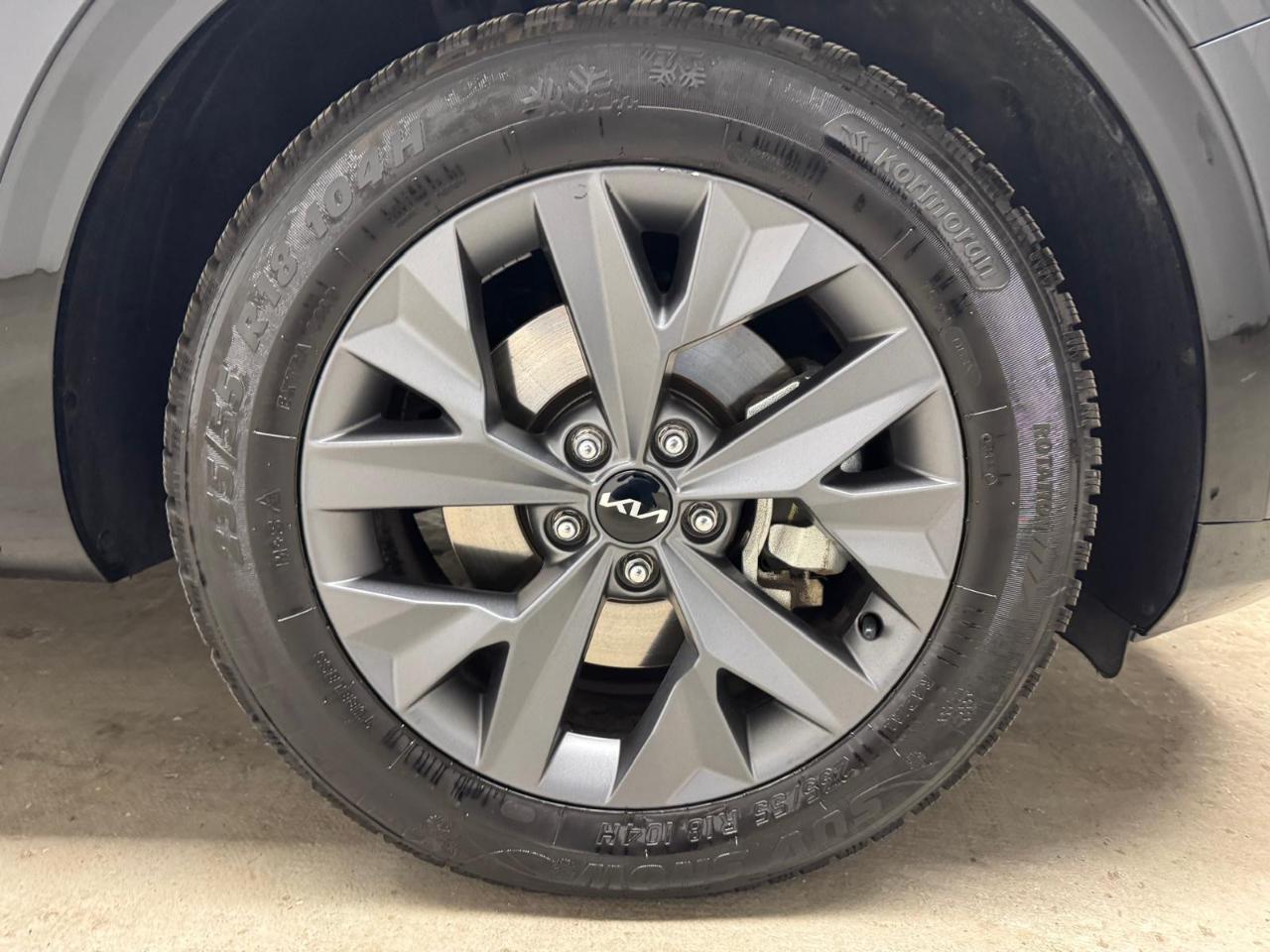 Kia Kia Sportage usata 11