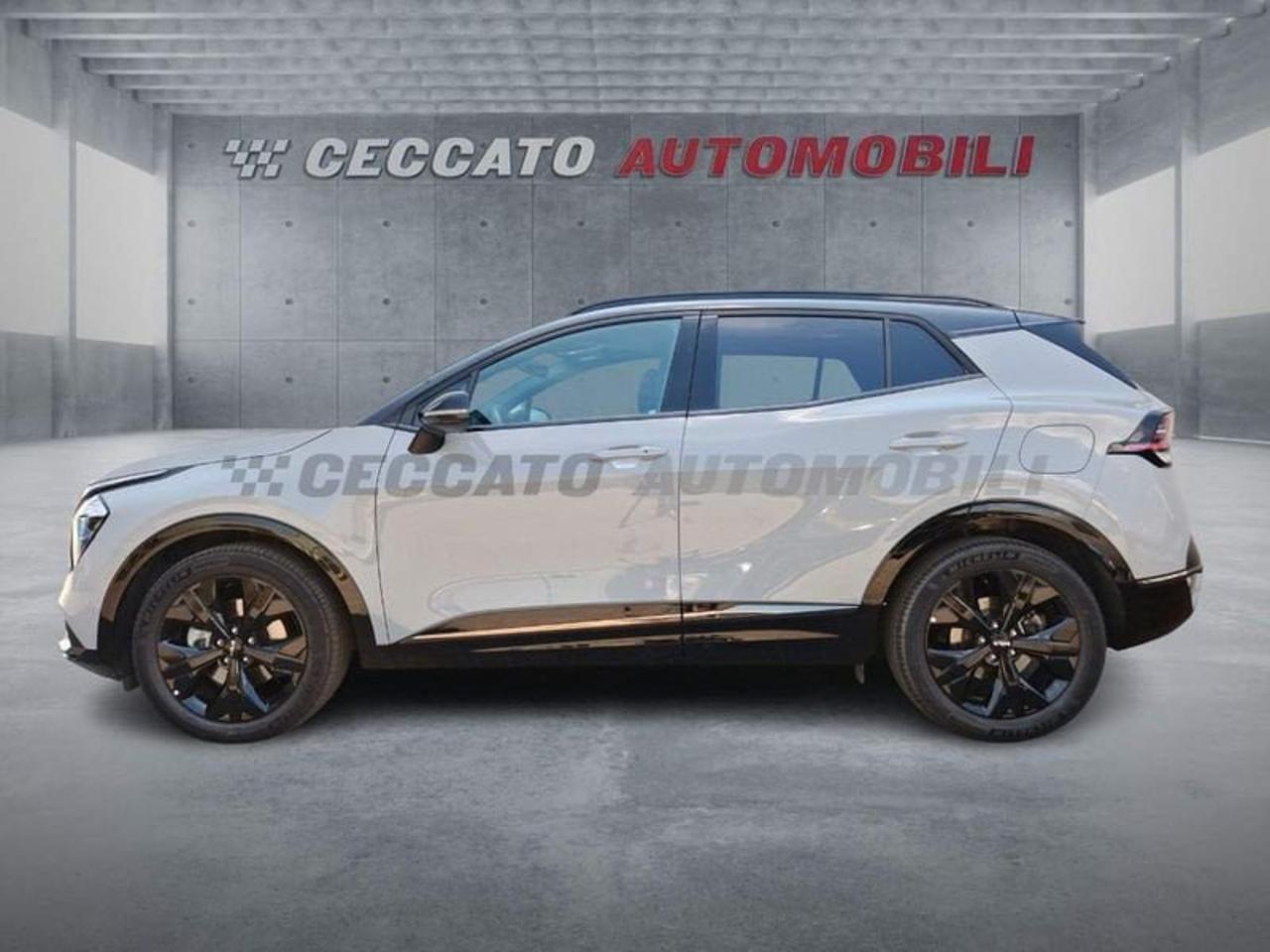 Kia Kia Sportage usata 11
