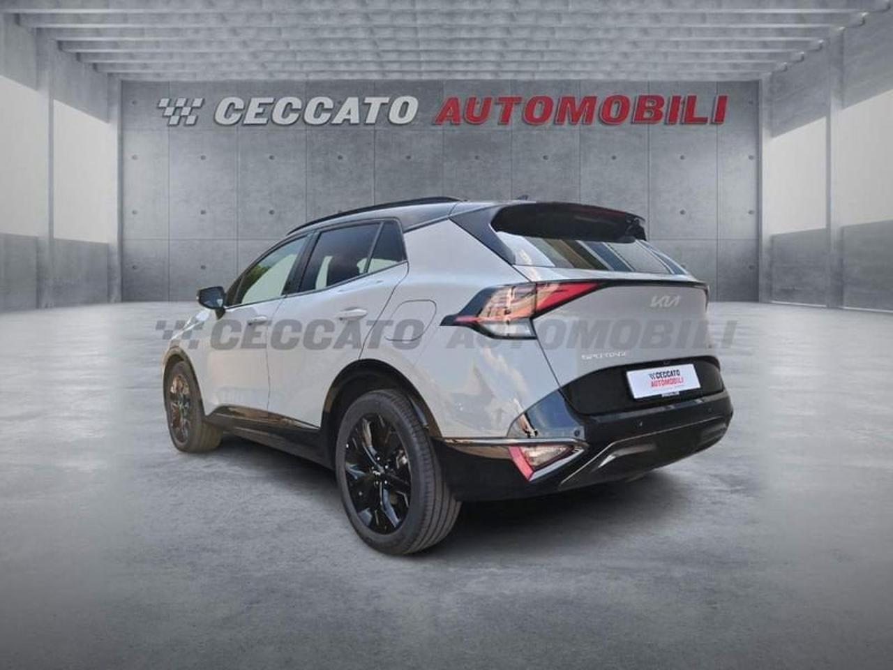 Kia Kia Sportage usata 19