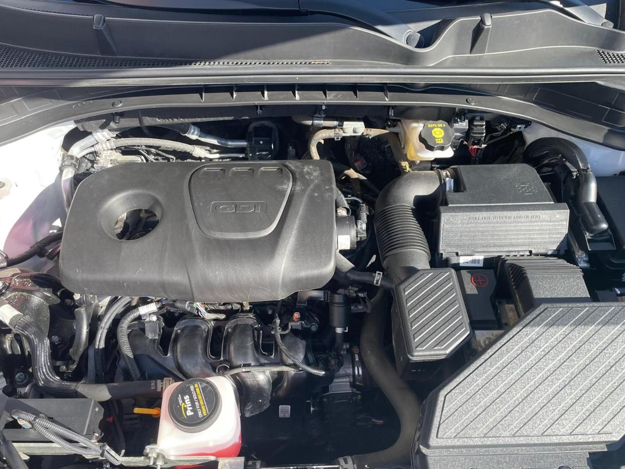 Kia Kia Sportage usata 15