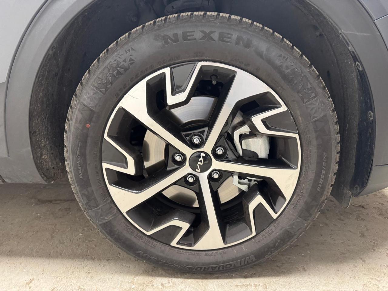 Kia Kia Sportage usata 12