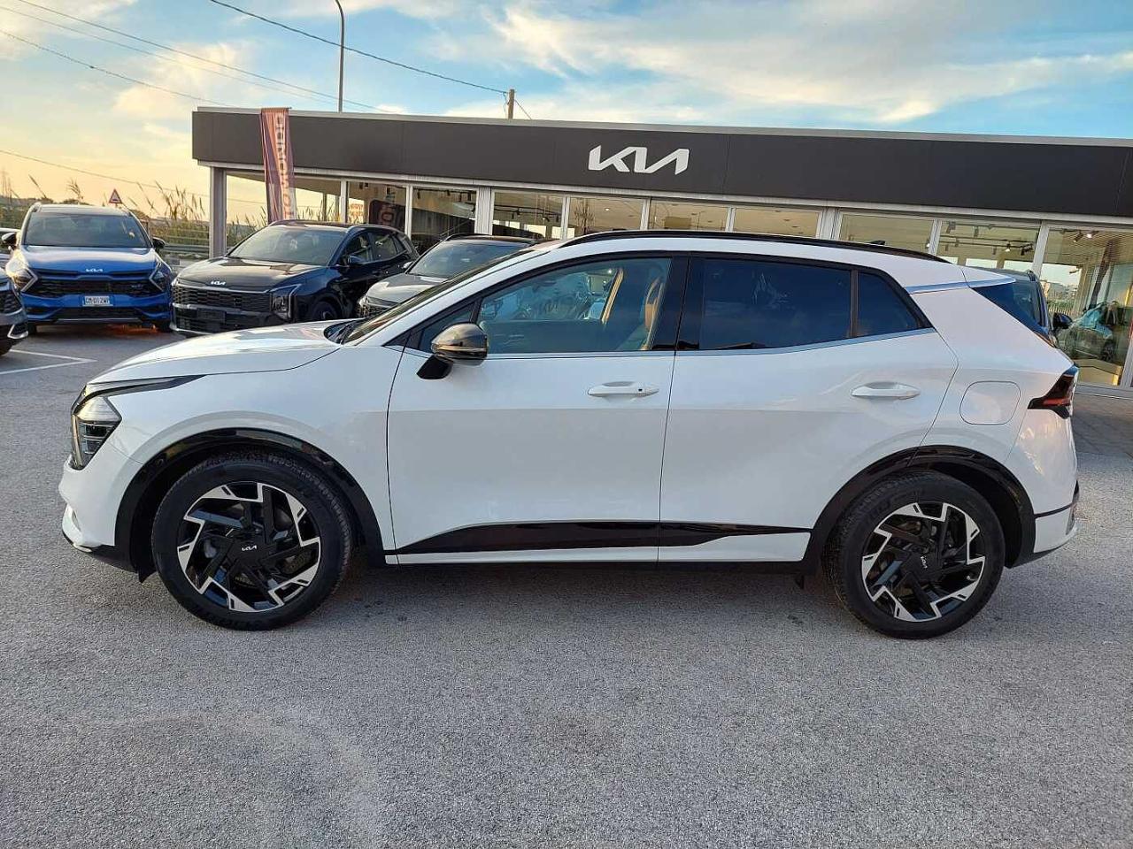 Kia Kia Sportage usata 11