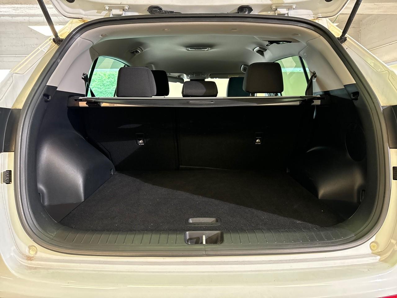 Kia Kia Sportage usata 17