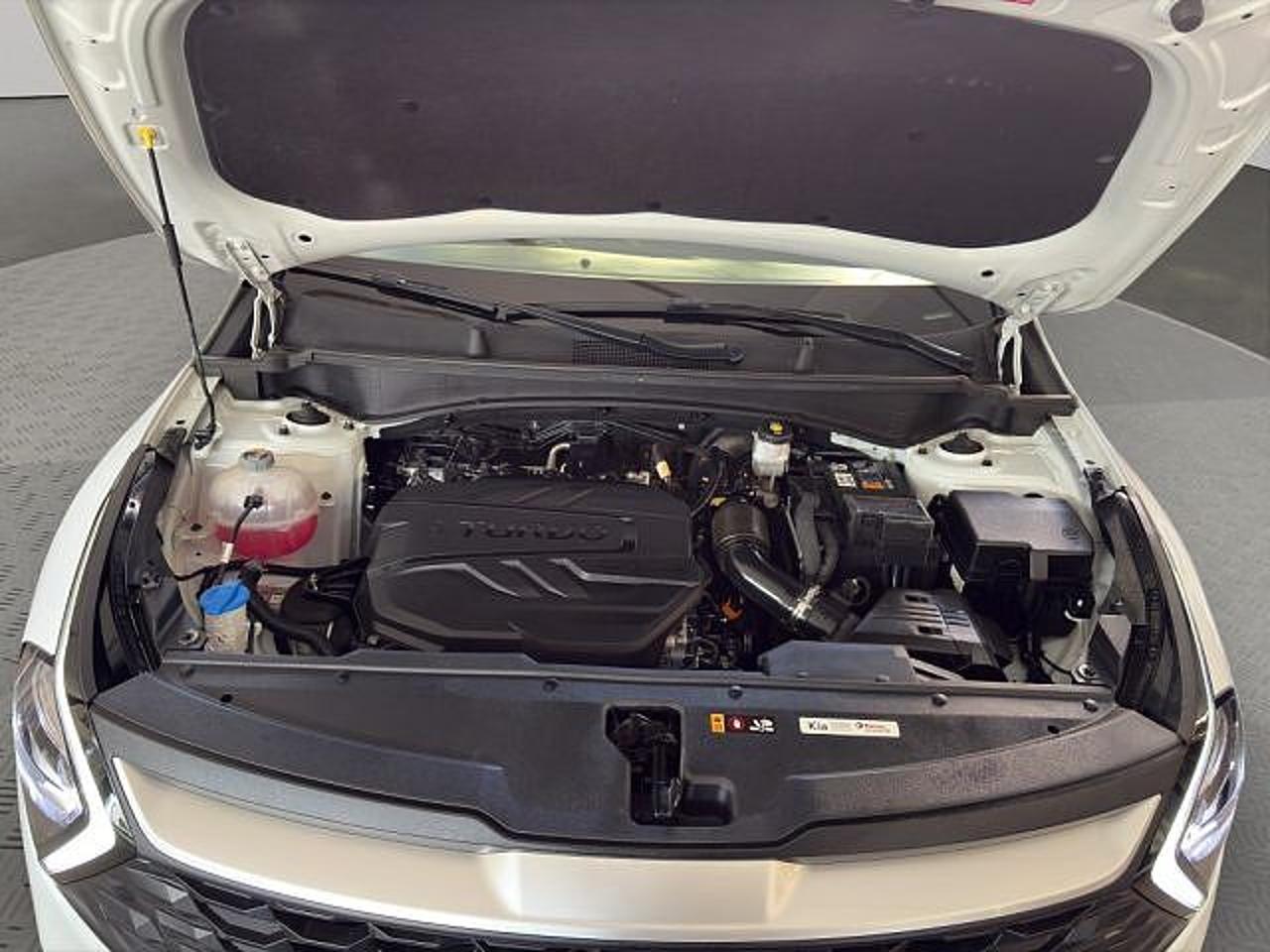 Kia Kia Sportage usata 15