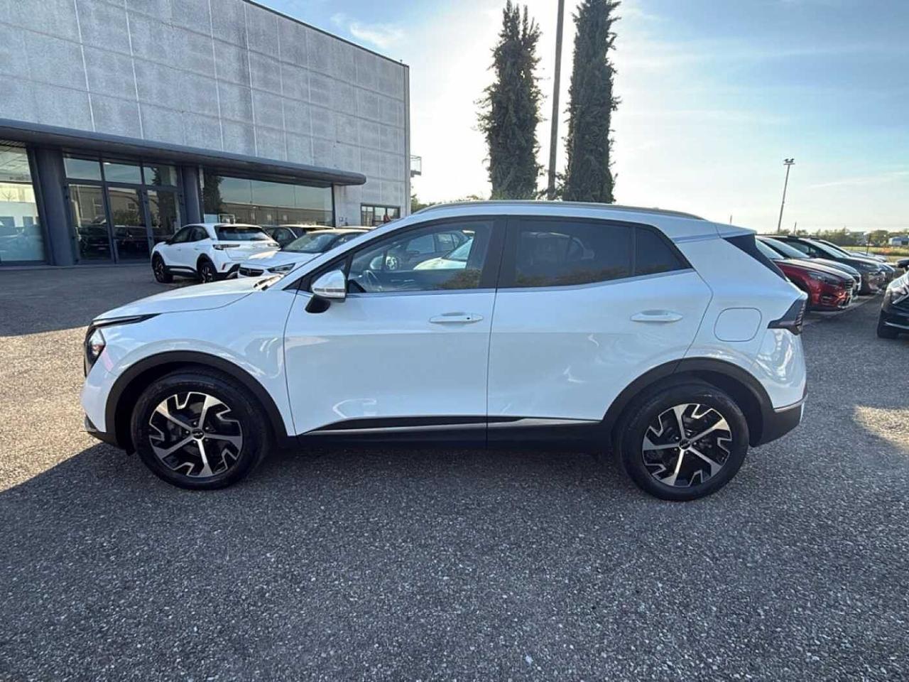 Kia Kia Sportage usata 11