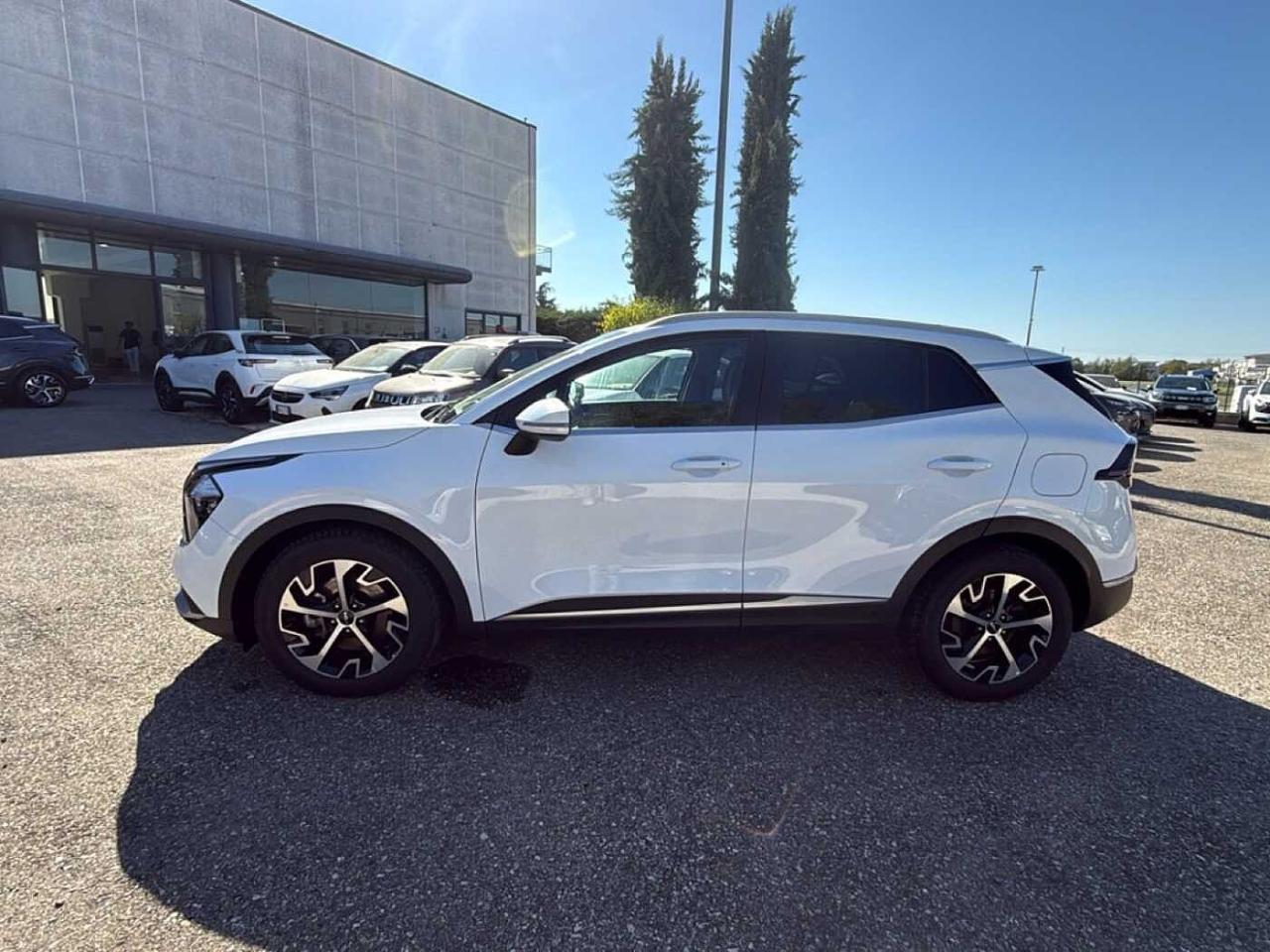 Kia Kia Sportage usata 11