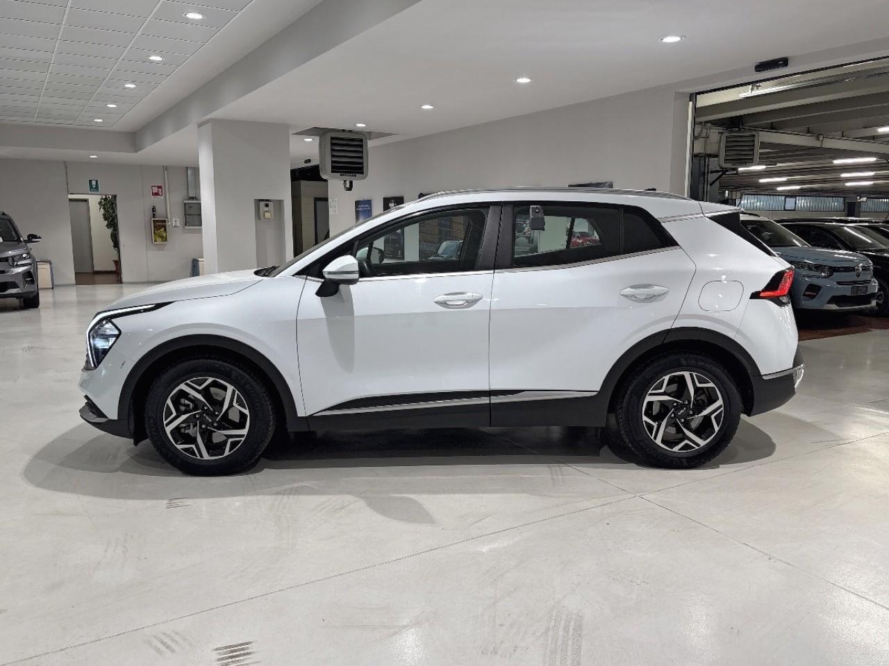 Kia Kia Sportage usata 14