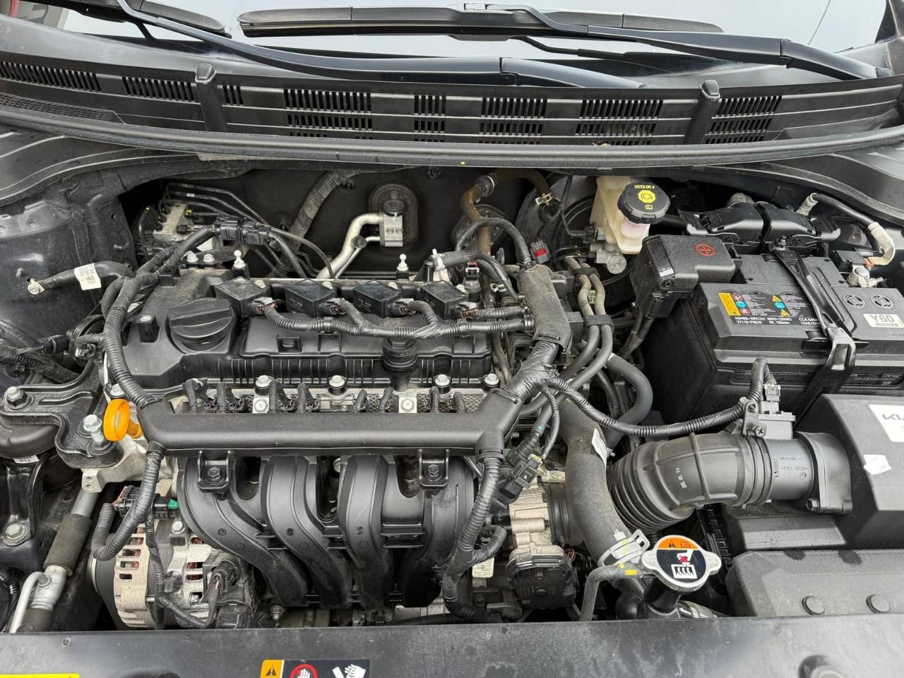 Kia Kia Stonic usata 12