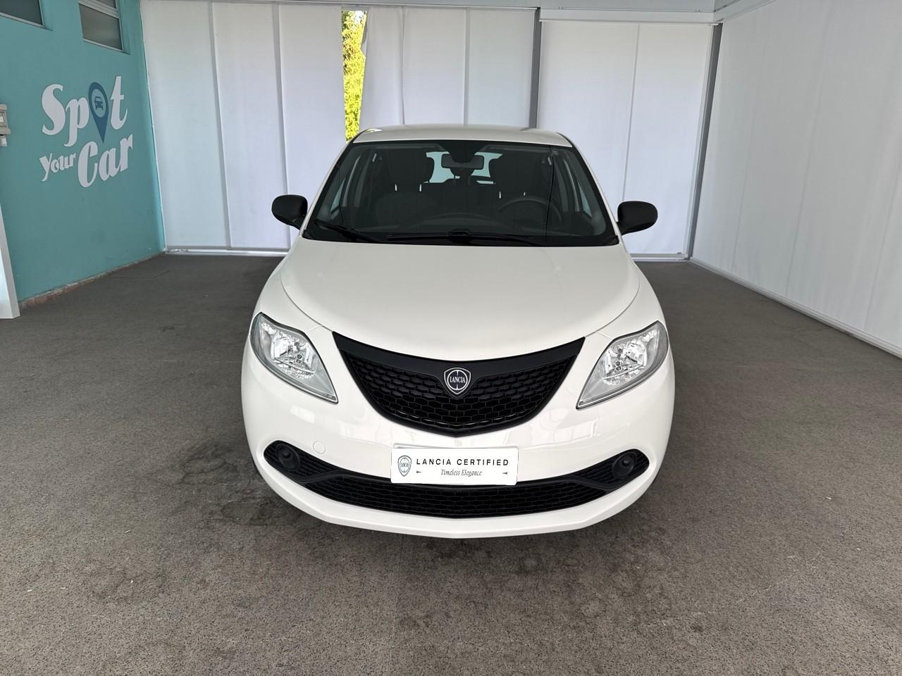 Lancia Lancia Ypsilon usata, con cinture sicurezza post. conducente e passeggero