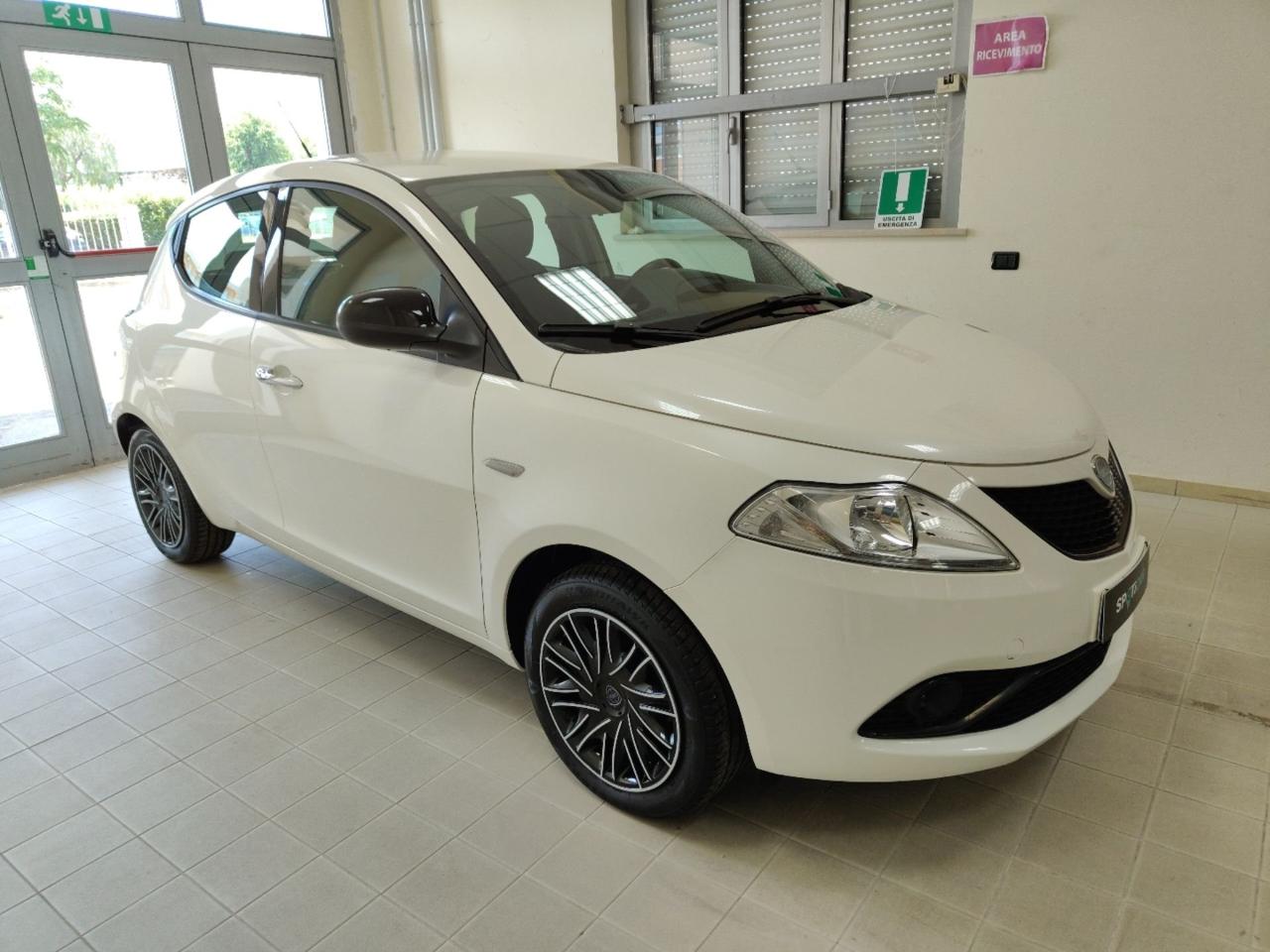 lancia ypsilon ypsilon 1.2 69 cv 5 porte gold usata