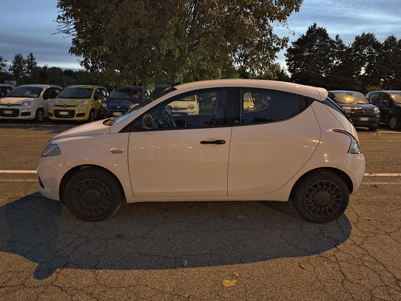 Lancia Lancia Ypsilon usata 14