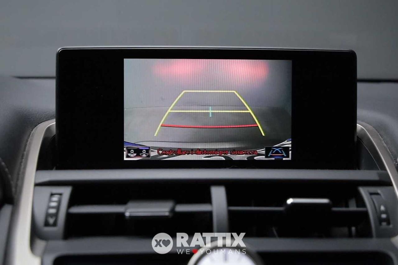 Lexus Lexus NX usata 12