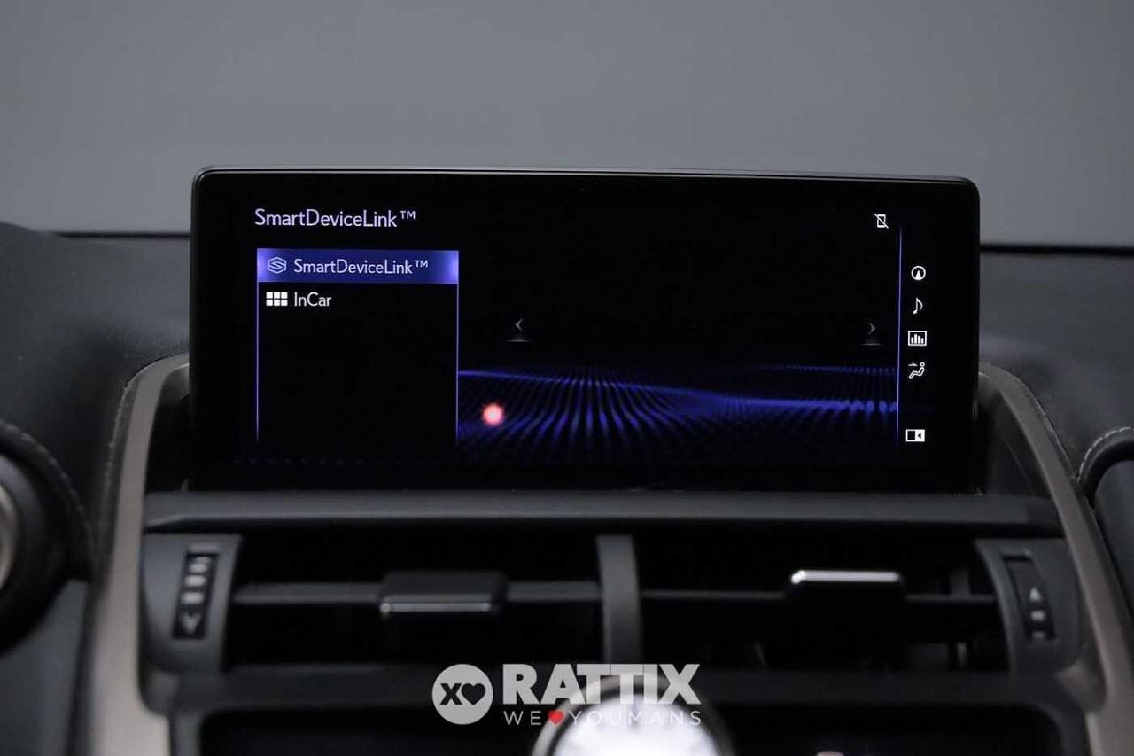 Lexus Lexus NX usata 18