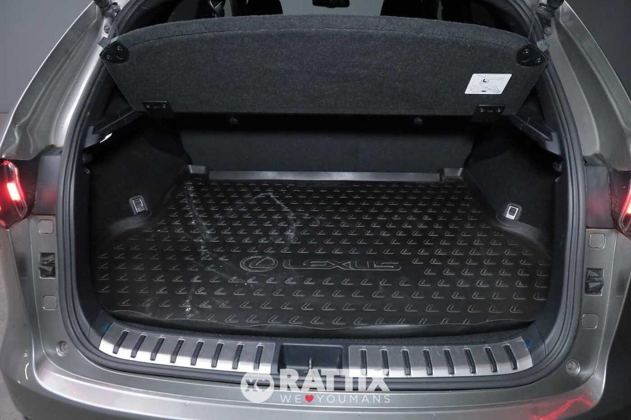 Lexus Lexus NX usata 27