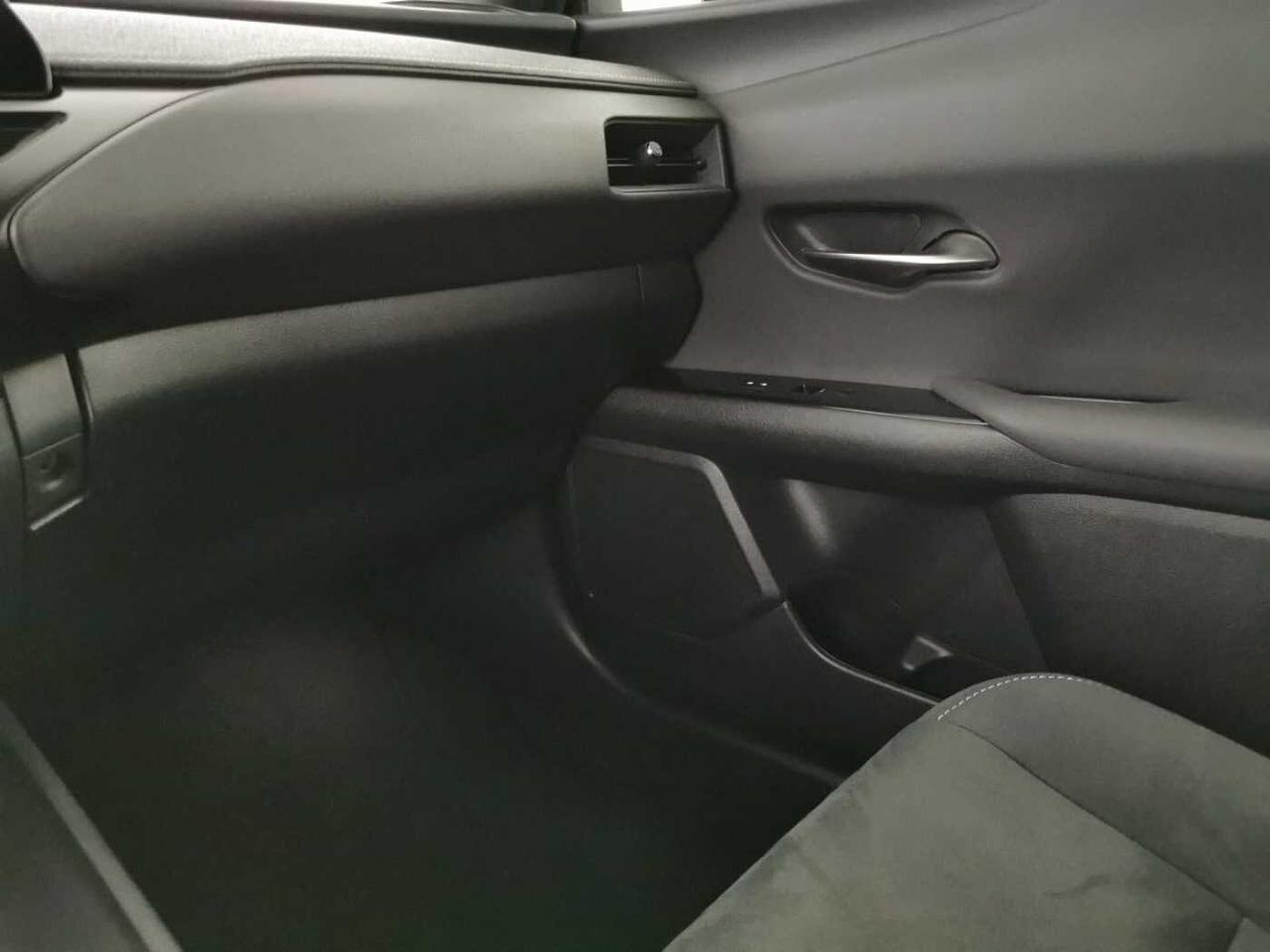 Lexus Lexus UX usata 12