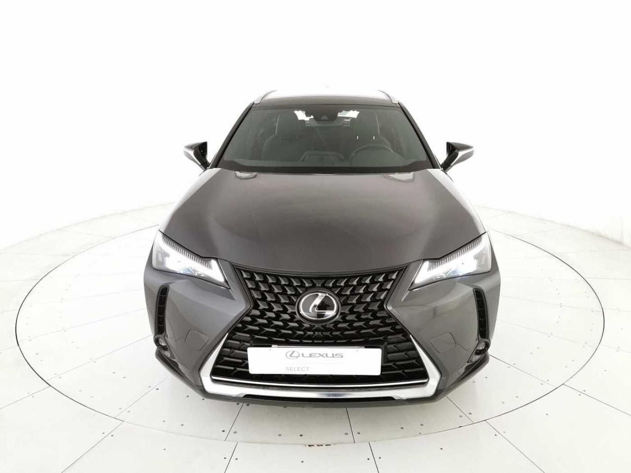 Lexus Lexus UX usata 16