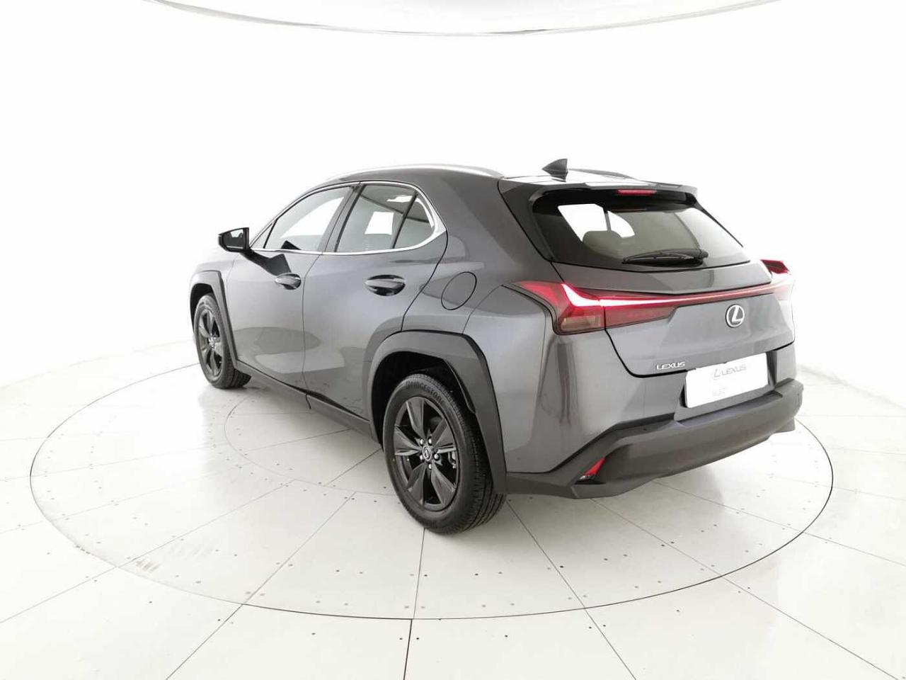 Lexus Lexus UX usata 19