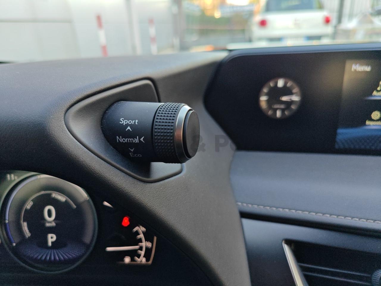 Lexus Lexus UX usata 15