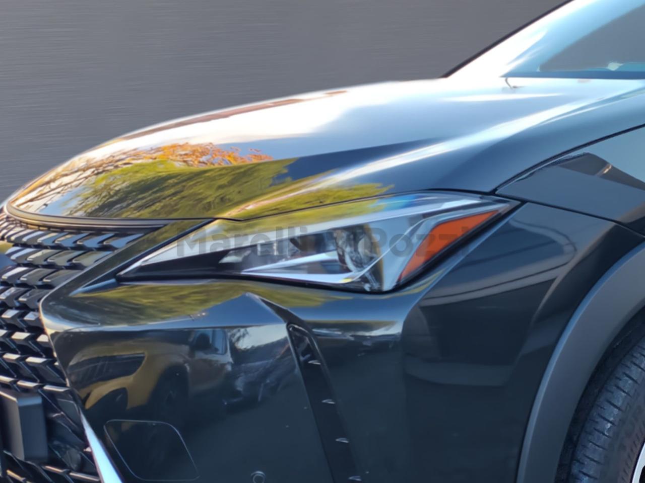 Lexus Lexus UX usata 20