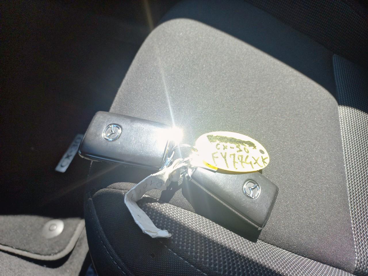 Mazda Mazda CX-30 usata, con Vetri Oscurati