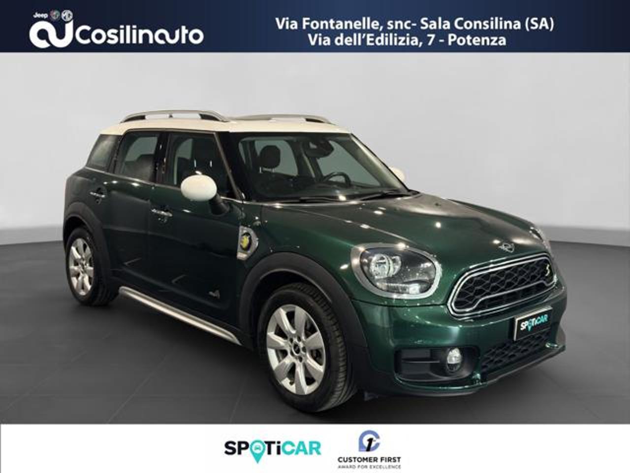 Mini Mini Countryman usata 19