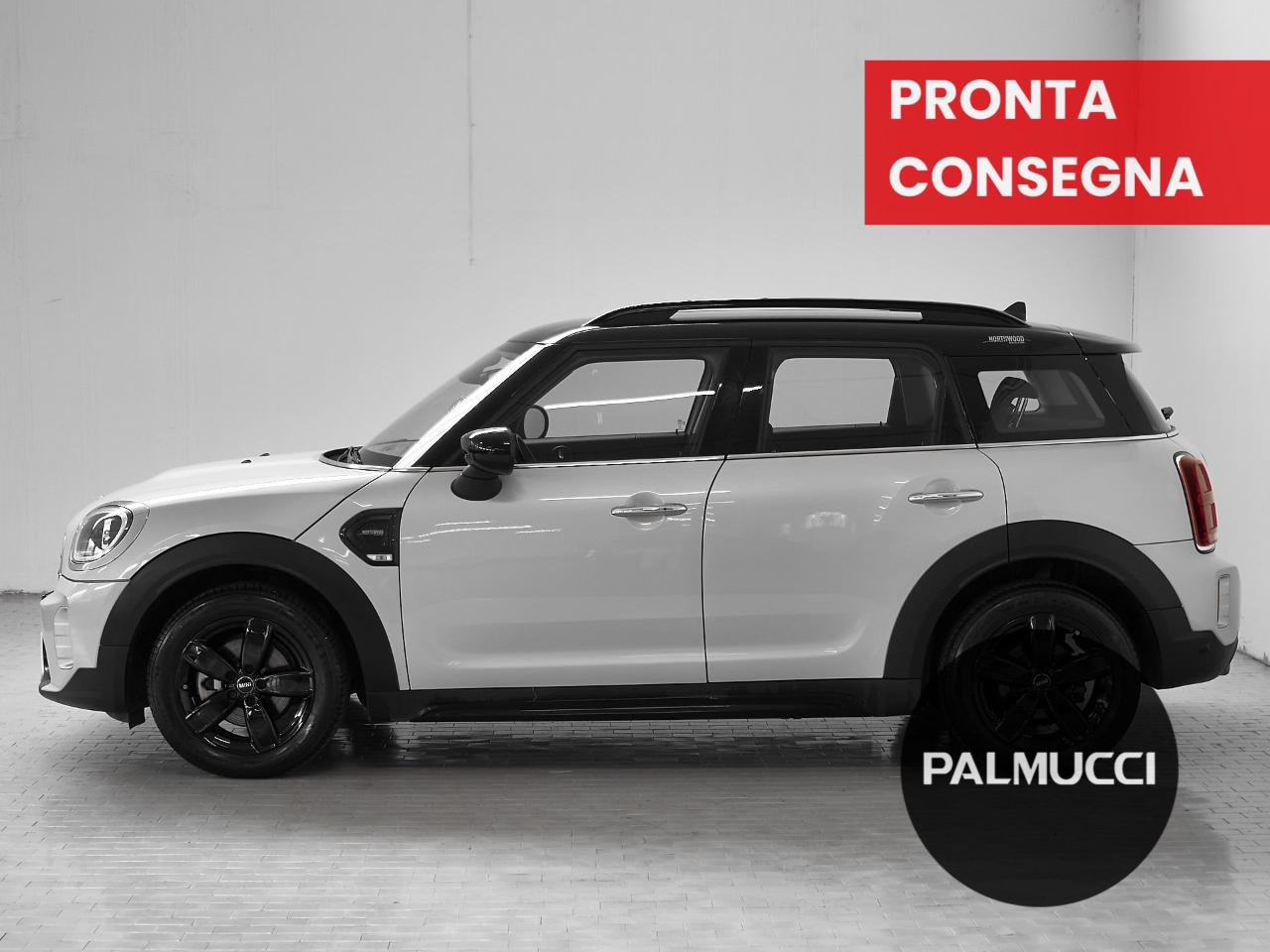 Mini Mini Countryman usata 7