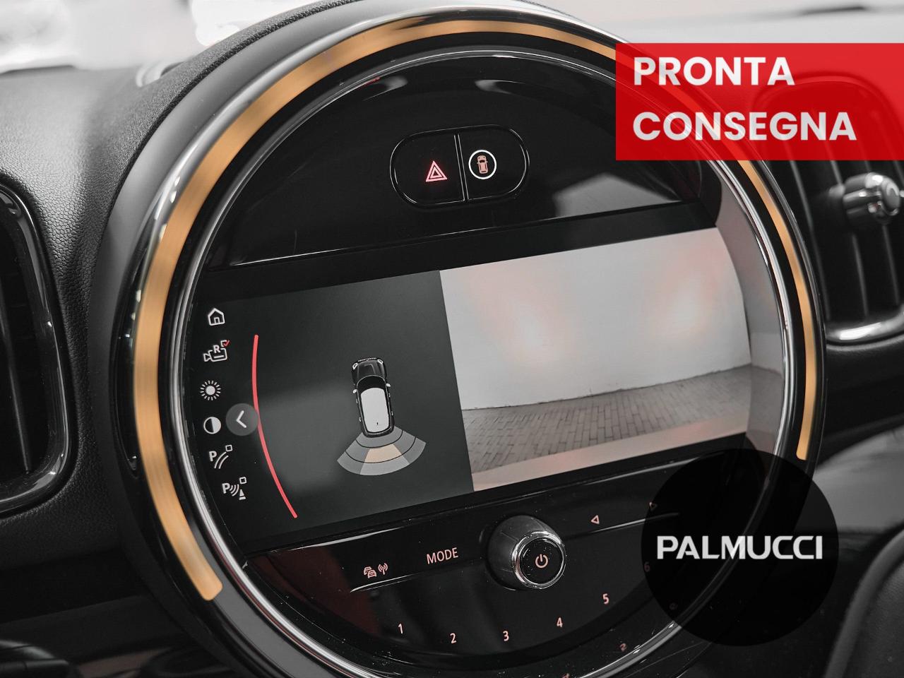 Mini Mini Countryman usata 10