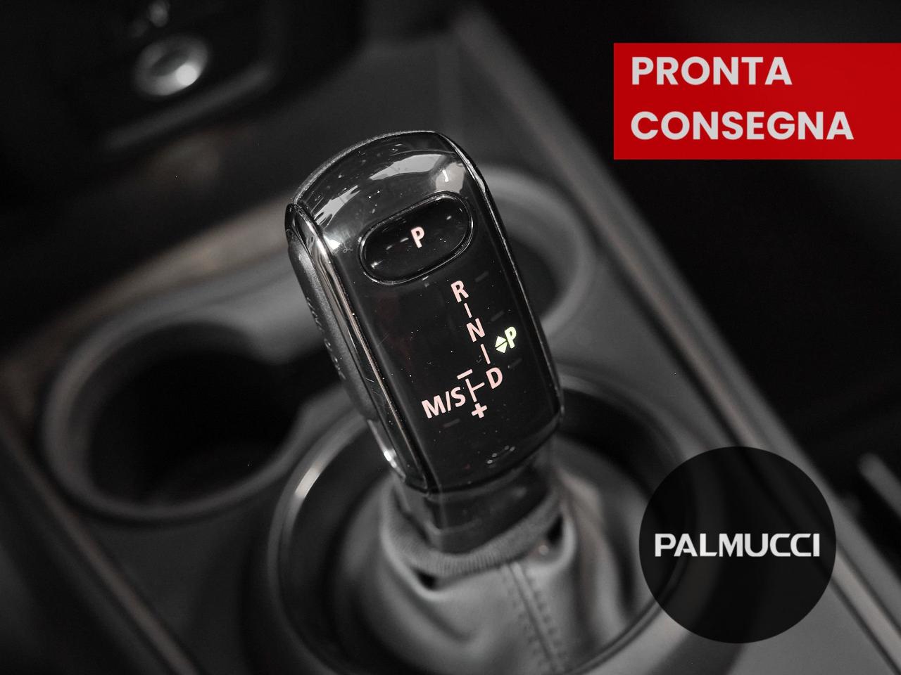 Mini Mini Countryman usata 19