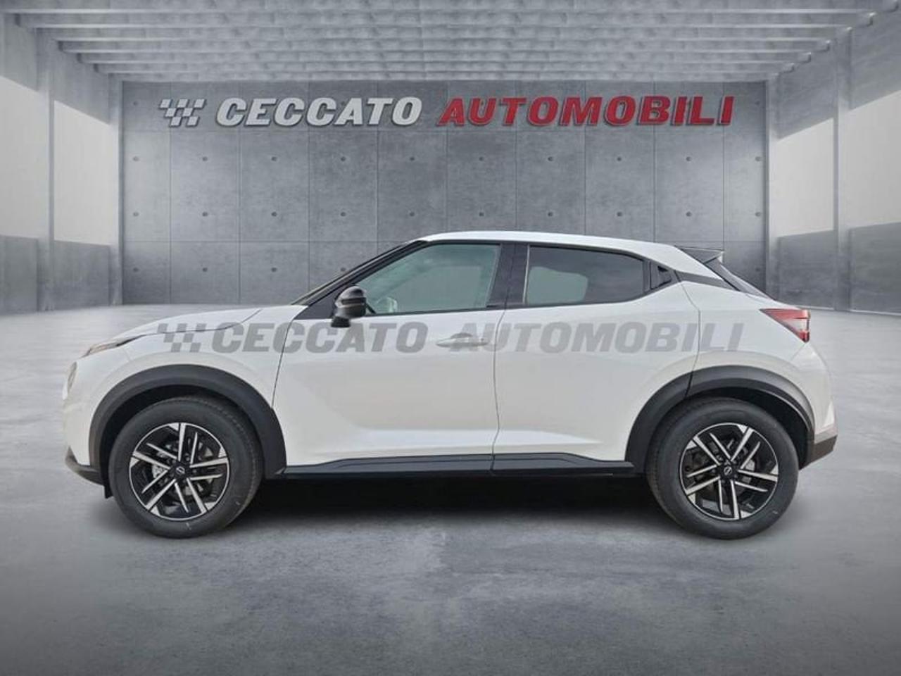 Nissan Nissan Juke usata 11
